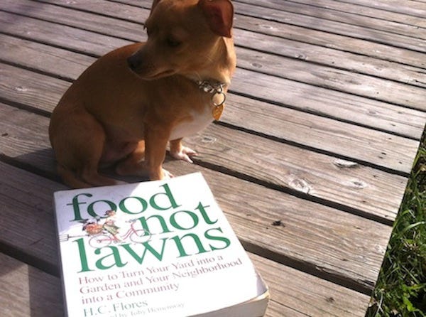 food not lawns book
