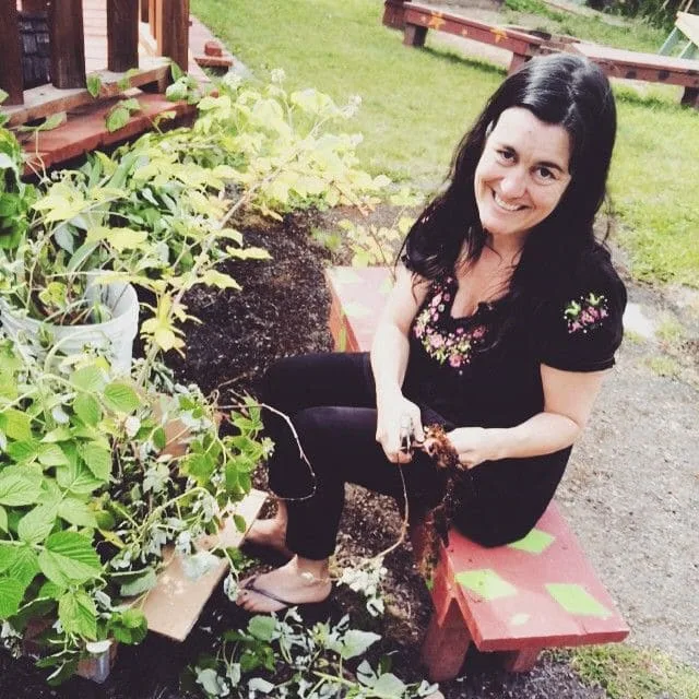 Online Permaculture Design Course 10 10377065 10153313196739806 3690522817424498463 n
