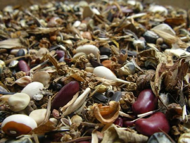 many seeds