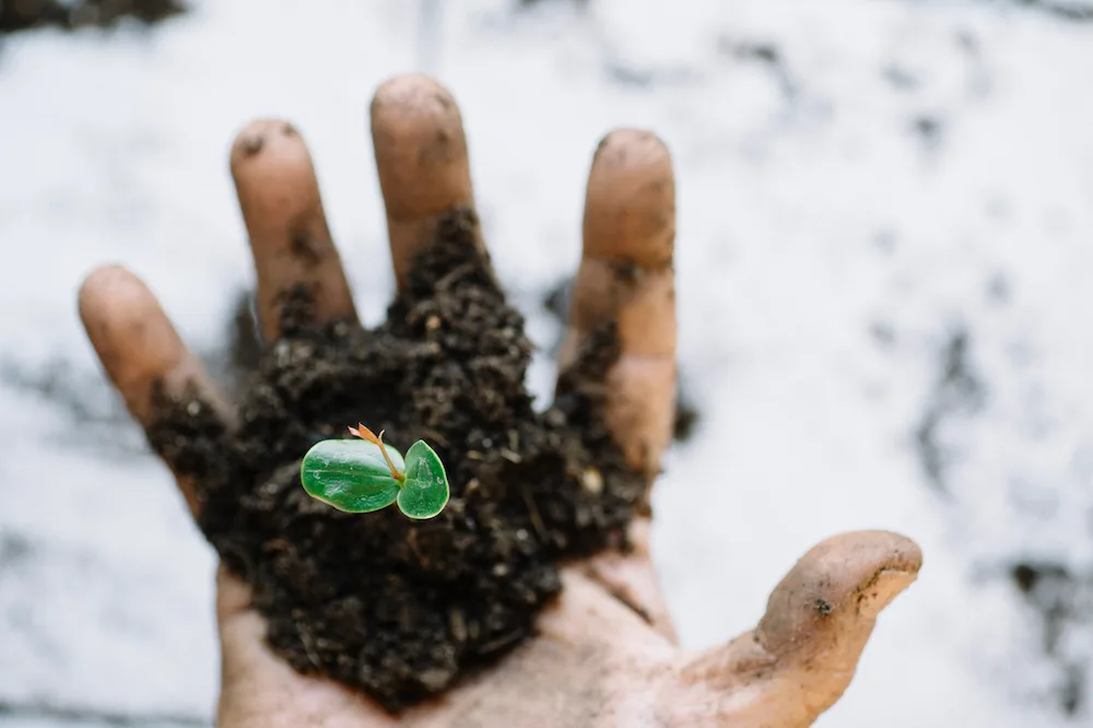 Design Your Daily Practice 2 Depositphotos 148115895 l 2015