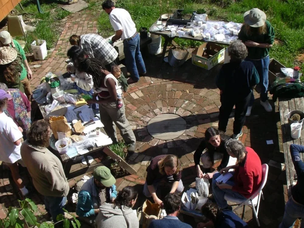 Online Permaculture Design Course 5 online permaculture design course