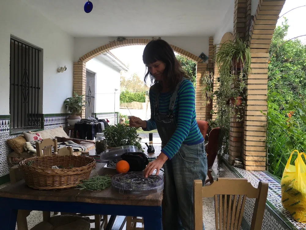 Online Permaculture Design Course 4 online permaculture design course