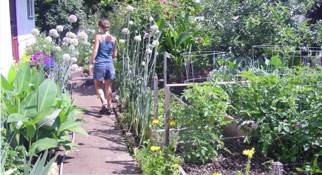 Online Permaculture Design Course 6 Screenshot 2023 08 03 at 6.56.11 PM