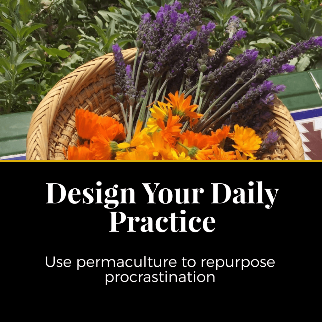 daily practice permaculture course