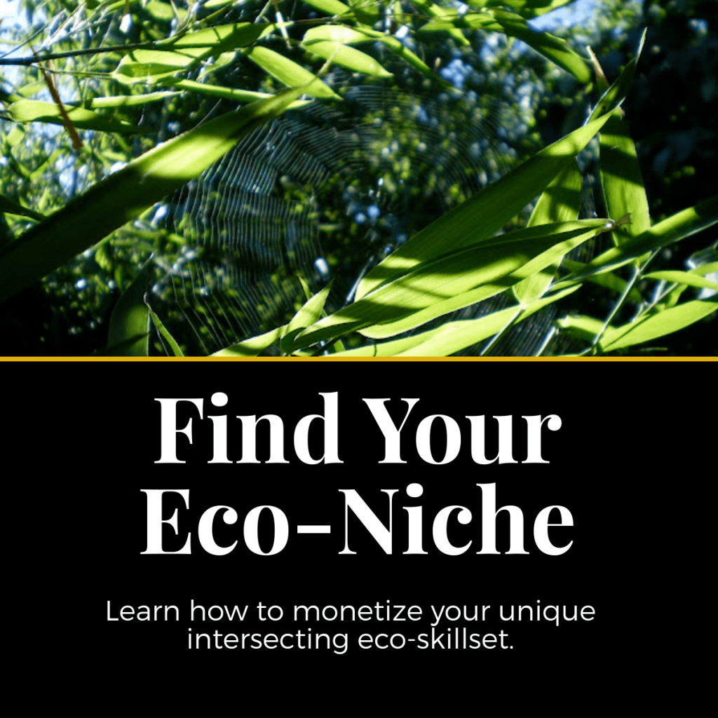 Welcome to the EcoDesign Hive 5 eco-niche permaculture course