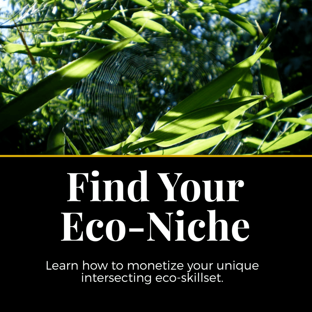 eco-niche permaculture course