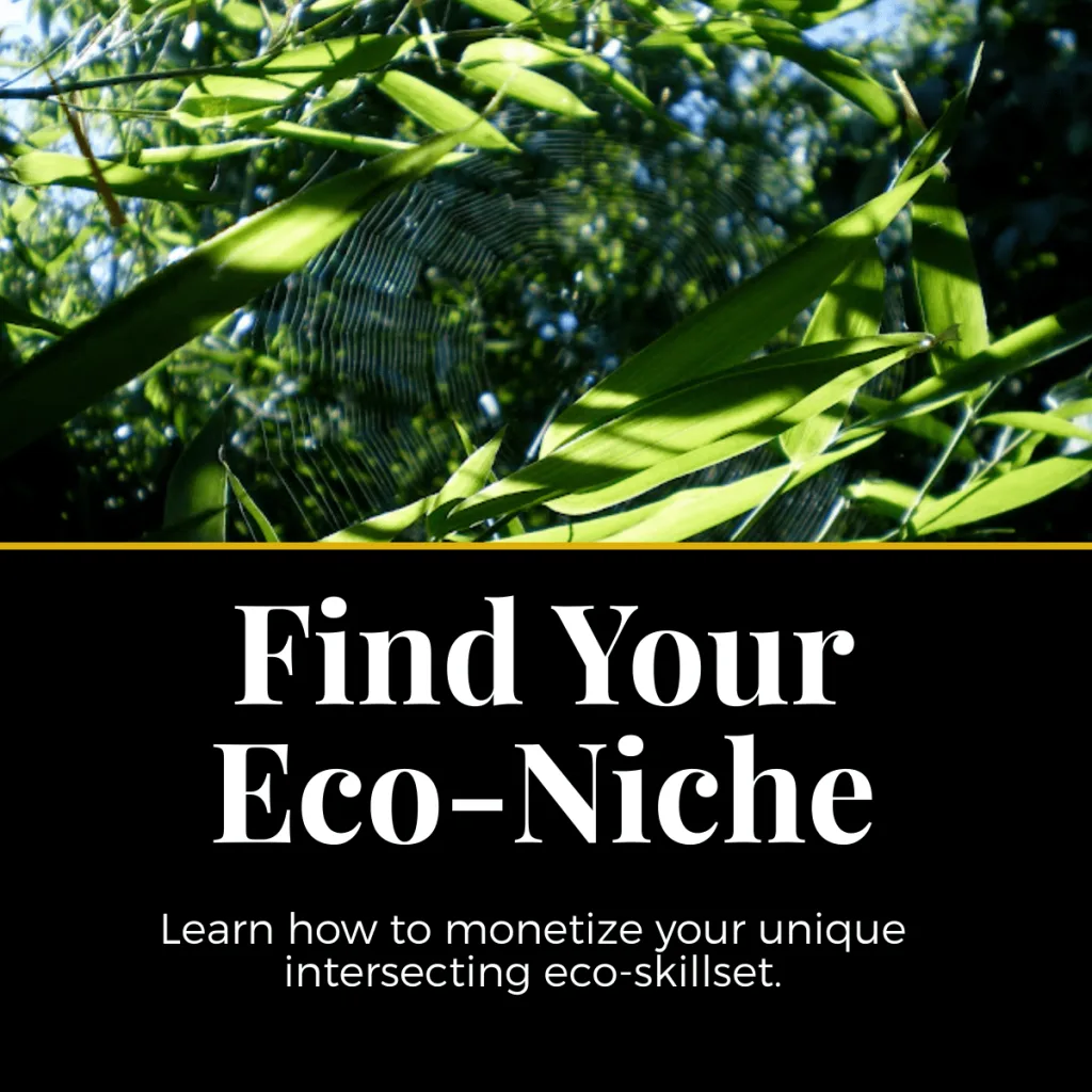 Welcome to the EcoDesign Hive 5 eco-niche permaculture course