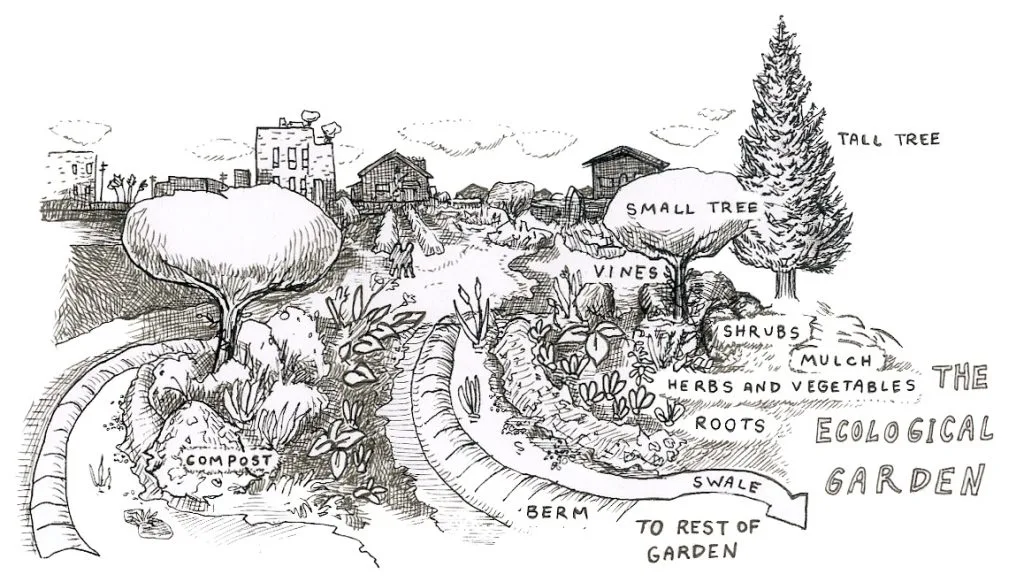 Permaculture for Beginners 2 extra