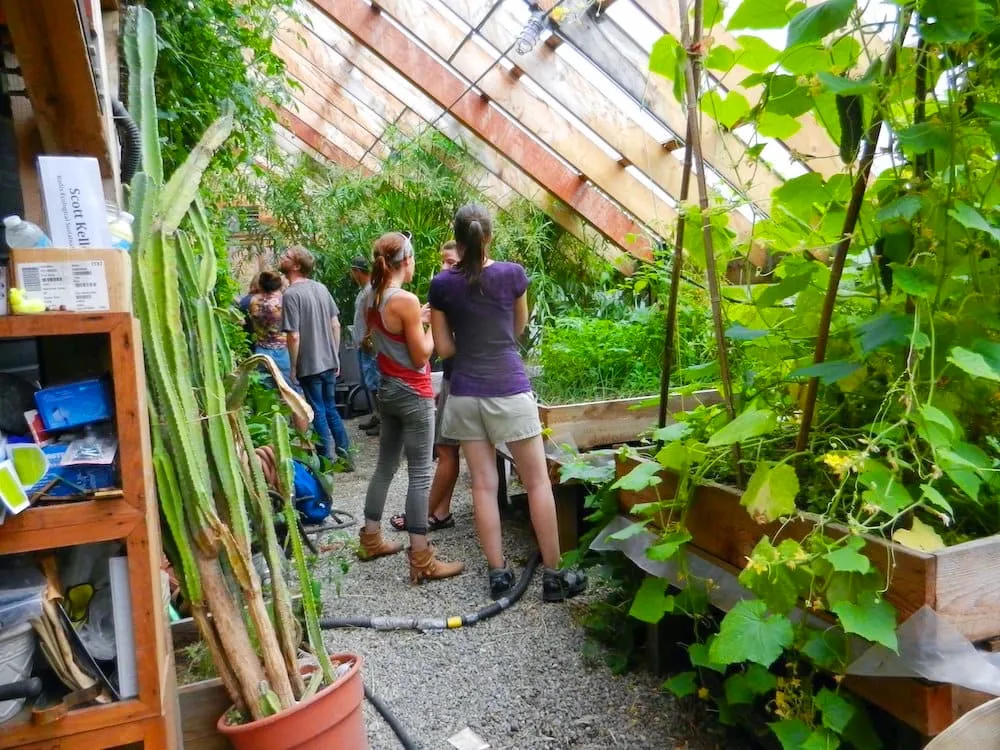 permaculture greenhouse