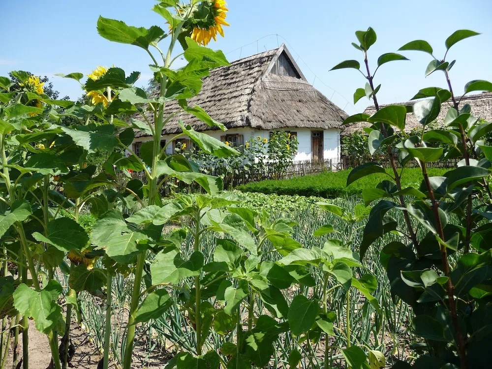 Online Permaculture Design Course 7 jumpstory download20200405 163251
