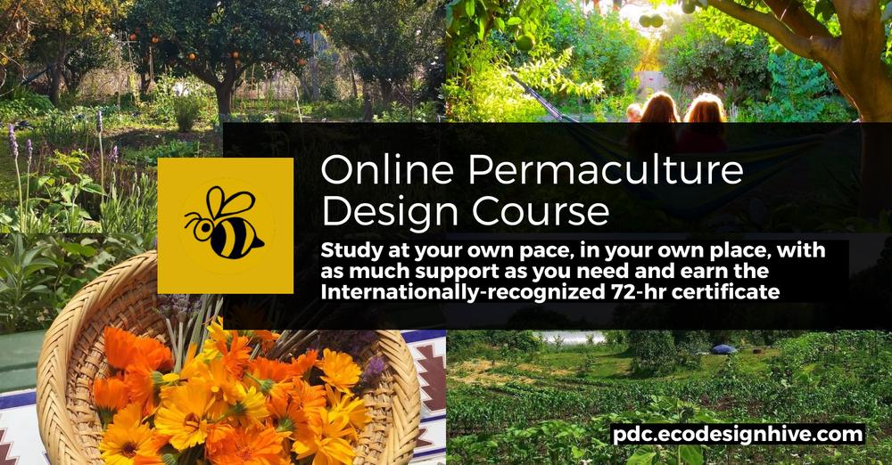 Welcome to the EcoDesign Hive 2 pdc OG