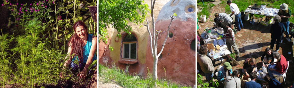 Welcome to the EcoDesign Hive 7 online permaculture community and courses