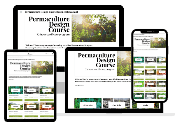 online permaculture design course